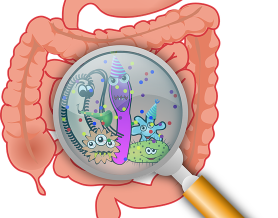 Diare-BayiCC0OpenClipartVectors-1