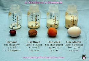 kapasitas lambung bayi