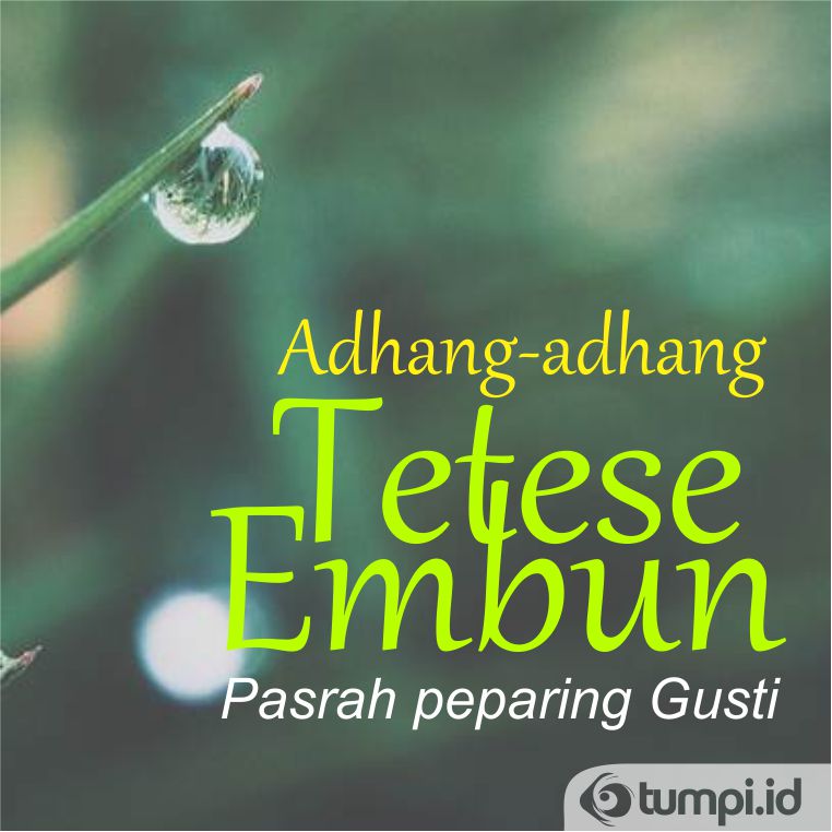 adhang-adhang tetesing embun