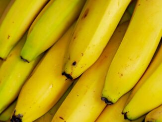 pisang salah satu mpasi yang bernutrisi