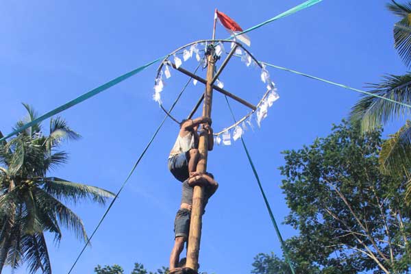 ide lomba panjat pinang