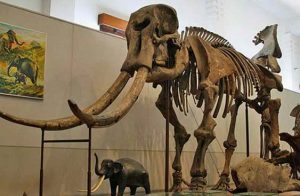 Sangiran dan Jejak Peradaban Purba Dunia