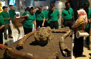 Sangiran dan Jejak Peradaban Purba Dunia