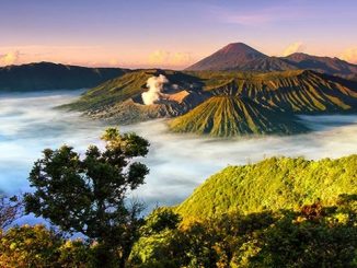 Panduan Wisata Backpacker ke Bromo, Begini Caranya