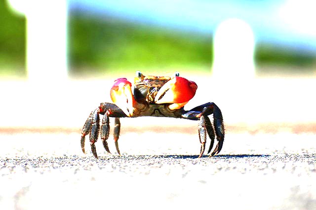 Kesalahan umum yang juga bisa terjadi dalam proses editing