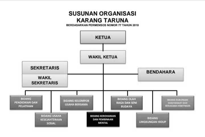 struktur organisasi pengurus karang taruna
