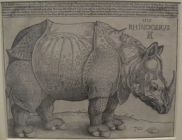 Albrecht Dürer The Rhinoceros