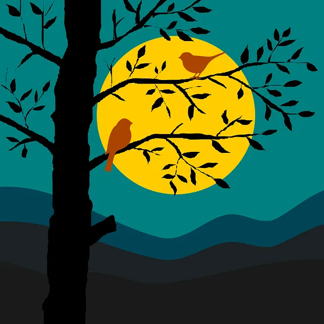 siluet burung dan rembulan